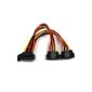 StarTech.com SATA power splitter Y cable to 2 SATA with latch - Alim doubler cable SATA - SATA Power Splitter (Electronics)