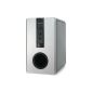 Kenwood SW-40 HT Active subwoofer (100 watts) silver (Accessories)