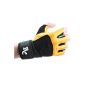 Deluxe Leather exercise and fitness black / brown -. Gloves 