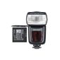 Neewer TT860 E-TTL Speedlite * * Lithium battery for Canon 5D Mark 2 March 6D 7D 70D 60D 50D 100D 700D EOS 1100D 650D 600D 400D 350D Canon and Other Digital Reflex Camera - PSPS 650 Full power with the battery unit Lithium!  Recycling time 1.5s (Electronics)