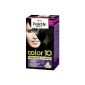 Poly Palette 10 Color 90 Black Stage 3 (Personal Care)