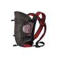 Mr. Baby Belly Baby Carrier ® 2 Positions / Black And Bordeaux / EN 13209 (Baby Care)