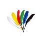 Indian feathers assorted colors, 17 / 20cm, 17 pieces (Toys)