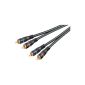 Wentronic 50433 cable 0.2 m Black (Accessory)