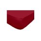 Atmosphere - 611,215 - Fitted Sheet Kingdom - 90 x 190 cm - SFX Red (Kitchen)