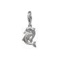 SterlinX Charm / pendant for bracelet, necklace or earring 925 sterling silver - dolphin - D1FC729I (jewelry)
