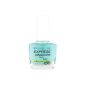 Gemey Maybelline Express Nail Care Fortifying Fortifluor (Health and Beauty)