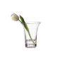 5-star tulip vase