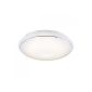Nordlux LED ceiling light MELO, 3000K, 840lm, 12W (Housewares)