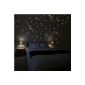 Wall Kings WK-10974 250 light points for a starry sky wall sticker, Glow in the dark and bright (household goods)