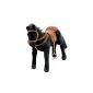Happy People 58947 - black horse with 3-fold sound