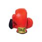 Boxing gloves 1