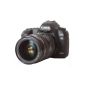 Canon EOS 5D Mark II Digital SLR Camera (21 Megapixel) including EF24-70 mm / 1:. 2.8L USM Lens (Electronics)