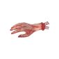 Scary Hand Severed Hand - arm off!  (Toys)