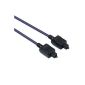 Hama Audio Optical Fibre Cable ODT plug (Toslink), 3 m (accessories)
