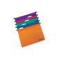 Rexel multithreading Extra hanging files, Minister, 150 sheets, set of 10 (Assorted) (Office Supplies)