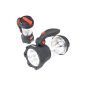 Duronic Hurricane lantern flashlight crank dynamo rechargeable -Lanterne 4 in 1 10 LED, flashing red LED, 3 LED flashlight and USB Charger (Miscellaneous)
