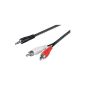 Wentronic 50440 cable 0.5 m Black (Accessory)