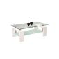 HomeTrends4You 272626 coffee table, 100 x 45 x 60 cm, white decoration (household goods)