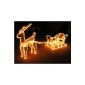 Reindeer with sledge illuminated from 13 m light hose TÜV / GS (household goods)