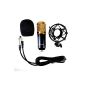 Professional condenser microphone Full Set Gold-head STUDIO Mic Broadcasting + Shock Mount for podcast webcast # 015