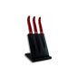 Laguiole Evolution 448250 Magnetic Block 3 Acidulé Kitchen Laguiole knives with Red handle Stainless 20 x 15 x 30 cm (Kitchen)
