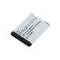 digibuddy battery compatible with Nikon EN-EL19 Li-Ion (Electronics)