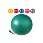 Exercise Ball seat Ball 65 cm ball different colors (equipment)