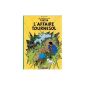 The Adventures of Tintin, Volume 18: The Calculus Affair (Paperback)
