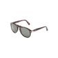 PERSOL Steve McQueen Sunglasses PO 0649 649 24/31 Havana Grey Green 54mm (Shoes)