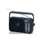 Panasonic RF-2400EG9-K Portable Radio (Electronics)