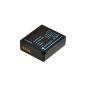 Jupio CPA0027 Battery for Panasonic DMW-BLG10 (Accessories)