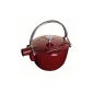 Dust teapot / kettle, some (16.5 cm, 1.15 L with a matt black enamel inside the boiler) grenadine (household goods)