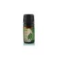 Lemon Oil - 100% pure essential oil - 10ml (Health and Beauty)