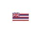 Hissflagge Hawaii - 60 x 90cm - flag and banner