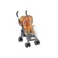 Wonder Walk travel buggy, orange (Baby Product)