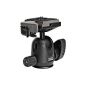 Manfrotto 494RC2 Mini Ball Head (320g, max. 4 kg carrying capacity) incl. 200PL quick release plate (Camera)