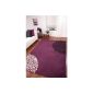 Purple Modern Living Carpet, Black and Cream