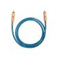 Oehlbach NF 113 DI digital audio pin cable blue 1.00m (Accessories)