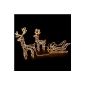 LED reindeer with sleigh 1.30m warm white 3-piece Christmas light 28m hose (household goods)