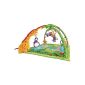 Mattel K4562 - Fisher-Price Rainforest experience blanket (baby products)