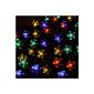 Innoo Tech 5M garland Bright 50 LED Outdoor Solar peach flowers, decoration for Christmas, holidays, wedding, garden ect (Multicolor)