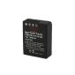 EZOPower NP-W126 W126 Battery Lithium Ion - 1200mAh for FujiFilm FinePix HS50EXR, HS30EXR, X-Pro1 X-E1, T1-X, X-E2, X-A1, X1, HS50EXR Camera (Electronics)