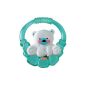Mattel Fisher-Price P6954 - Fisher Price Polar Bear cool teether (Baby Product)