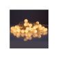 40 warm white LED lights e, Christmas Lights, battery operated, f? R Christmas Parties (household goods)