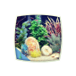 Tropical Fish Aquarium: colorful tank (app)