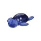 Cloud-B calming Turtle (Baby Product)