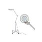 FLOOR LAMP SKATE WITH MAGNIFIER LENS 8 DIOPTERS magnifying 5 TIMES CIRCULAR TUBE 22W 4000K DAYLIGHT 19 (Office Supplies)