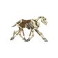 Papo - 38993 - figurine - Horse Skeleton (Toy)