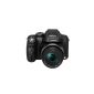 Panasonic Lumix FZ48 Bridge Camera 12 Mpix Black (Electronics)